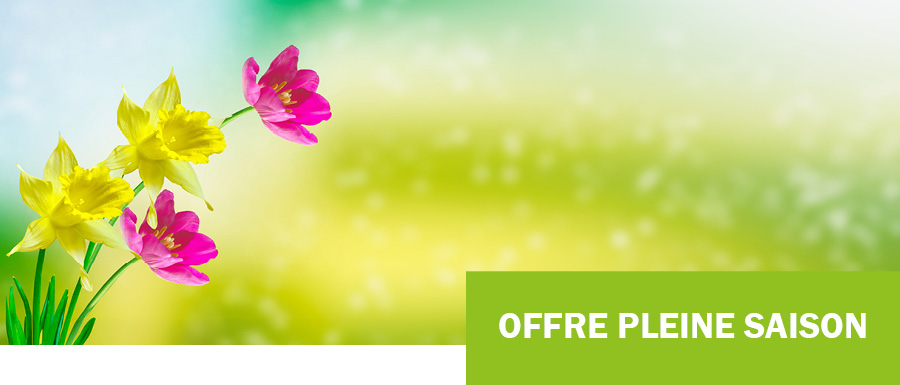Offre pleine saison